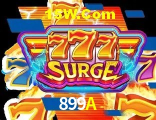 Login Seguro 899A